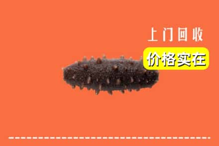 锡山区回收海参