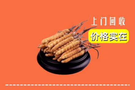 锡山区回收冬虫夏草